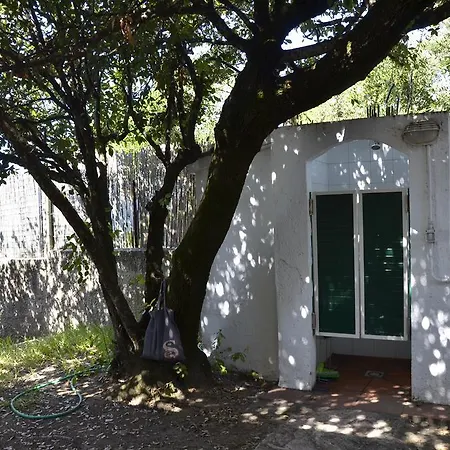 Villa Mimmi